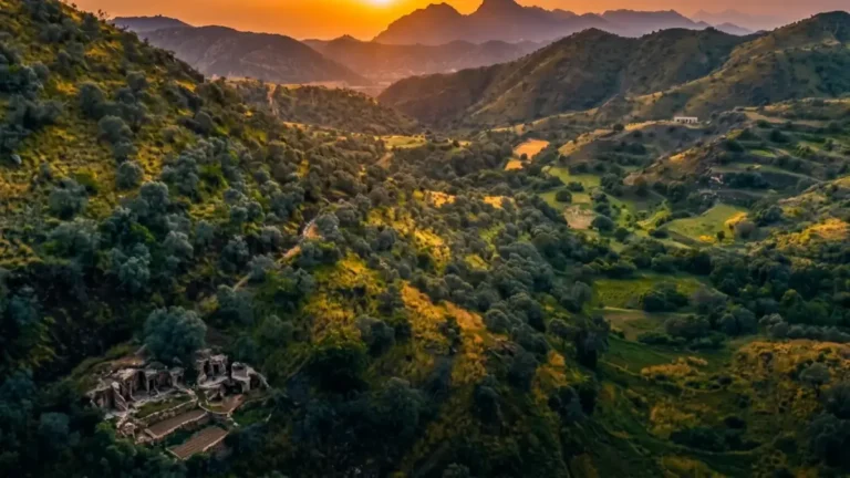 وزارة البيئة تدعو المجتمع للاختبار عبر إنجازات ملموسة في سبعة أيام فقط في جميع أنحاء المملكة