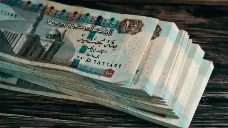 الهيئة القومية للتأمينات الاجتماعية تبدأ صرف المعاشات من اليوم الأول لـ 11 مليون مصري عبر 5 قنوات متنوعة