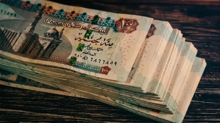 الهيئة القومية للتأمين الاجتماعي تستعيد لك 30 يومًا من حياتك سنويًا