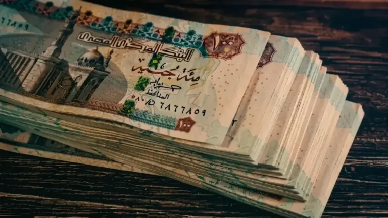 استعادة 30 يوماً من وقتك الضائع: هيئة التأمين الاجتماعي تقدم حلولاً لـ 11 مليون مستفيد