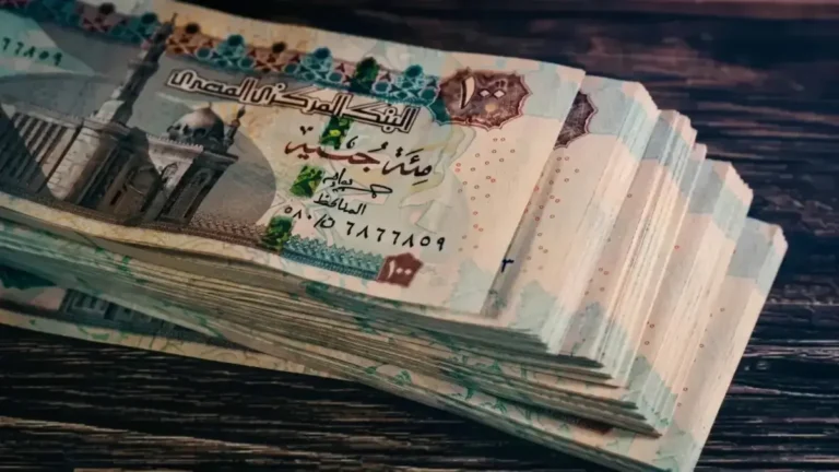 الهيئة القومية للتأمين الاجتماعي تعلن عن استرداد 30 يومًا من وقت 11 مليون مواطن يعانون من جريمة السرقة الزمنية سنويًا