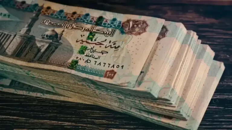 استرجاع أكثر من 30 يوماً من عمرك سنوياً بفضل الهيئة القومية للتأمين الاجتماعي