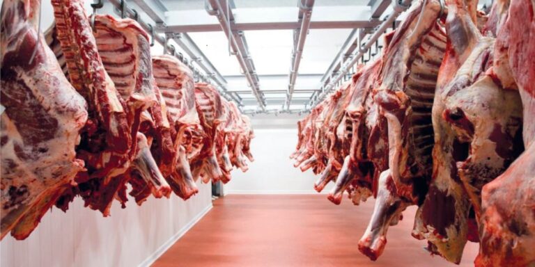 زيادة ملحوظة في أسعار اللحوم قبل أسابيع من عيد الأضحى