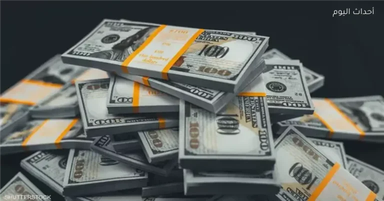 استقرار قيمة الدولار في البنوك اليوم الثلاثاء