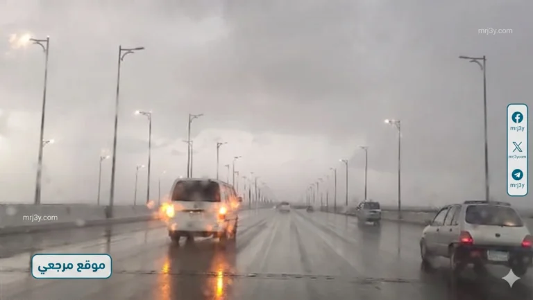 تحذيرات الأرصاد من ضباب ورياح غدًا