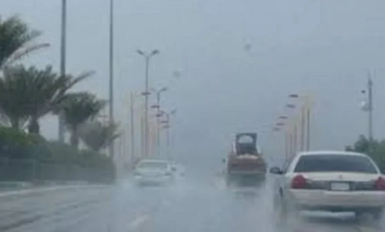 توقعات الطقس لليوم: أجواء غائمة مع ه showers في القاهرة والمناطق المجاورة وصولاً لدرجة حرارة دنيا 16