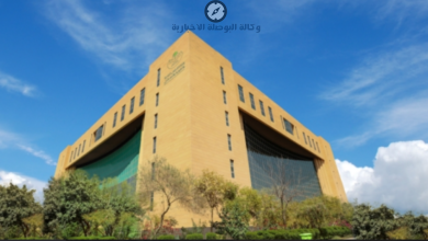 لائحة العقارات البلدية