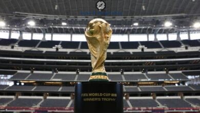 المشاركة في كأس العالم