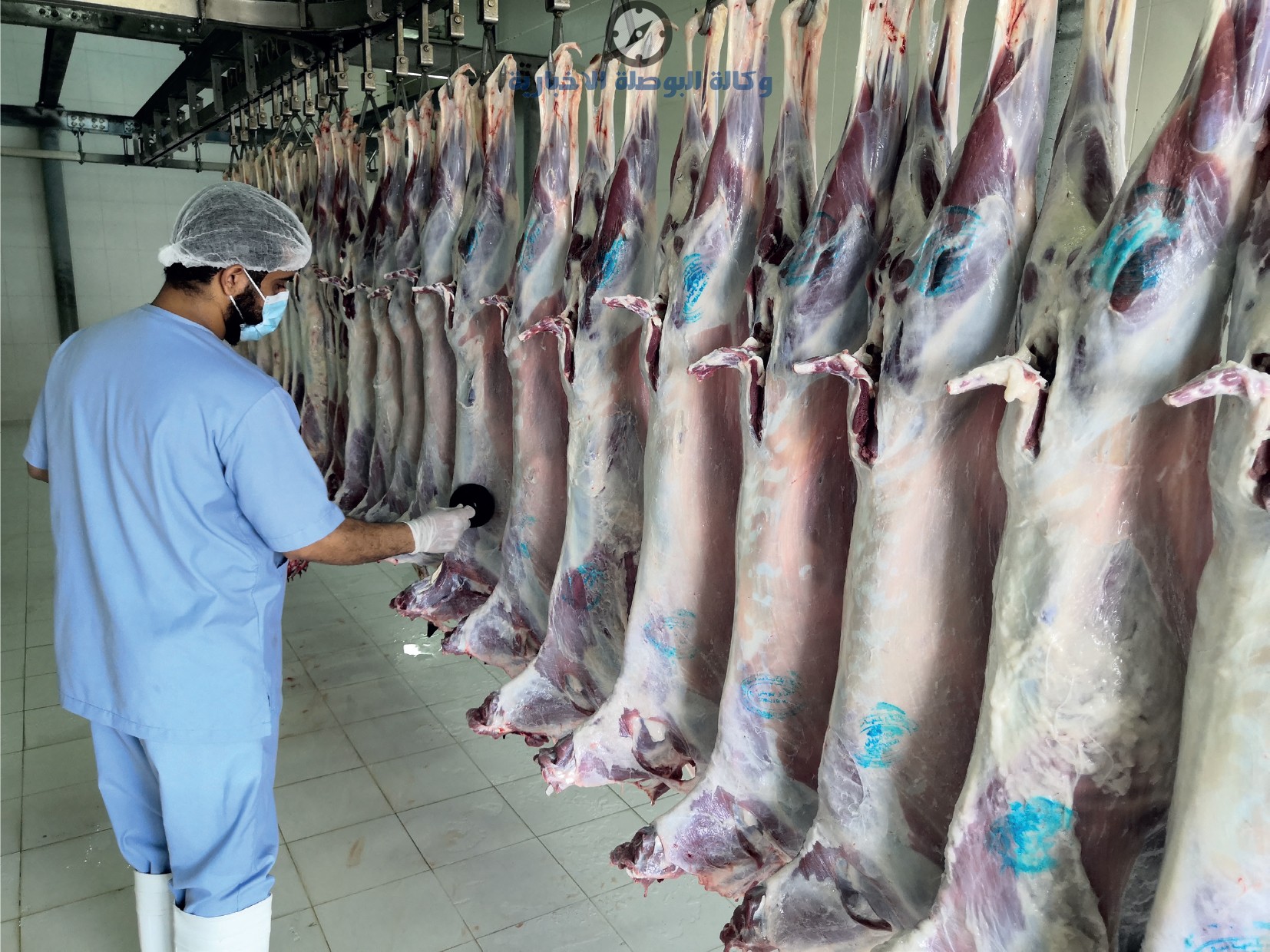 رابط حجز موعد مسالخ البلدية