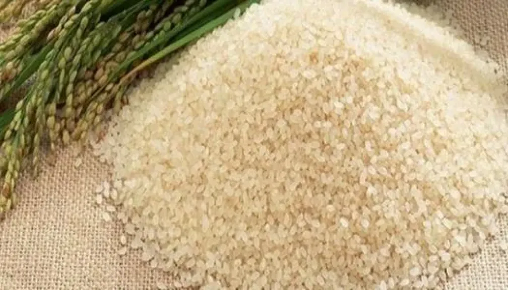 أسعار الأرز اليوم