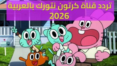 قناة CN بالعربية