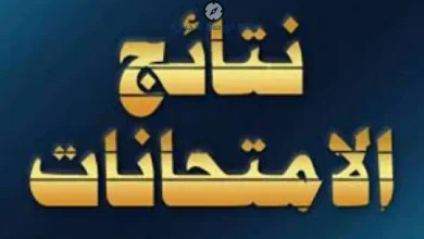 نتيجة سنوات النقل 2026 في الجيزة