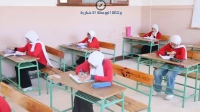 نتيجة الشهادة الإعدادية كفر الشيخ 2026