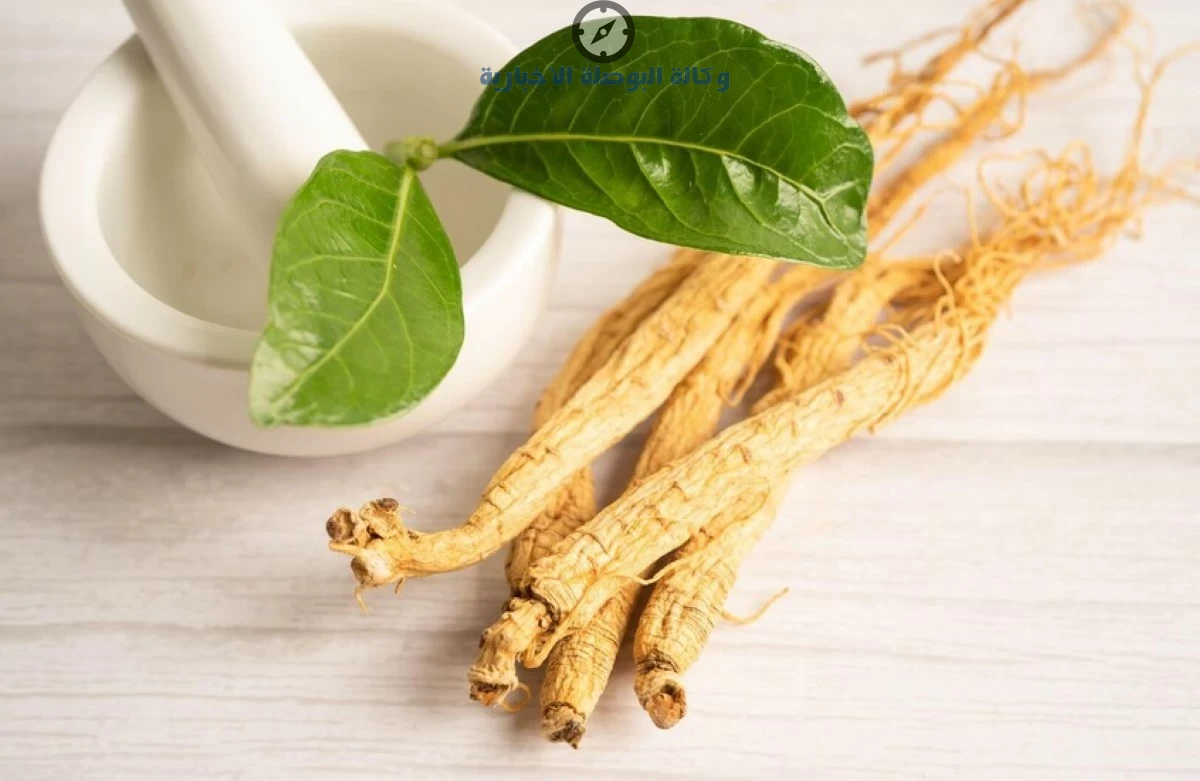 الجنسنغ